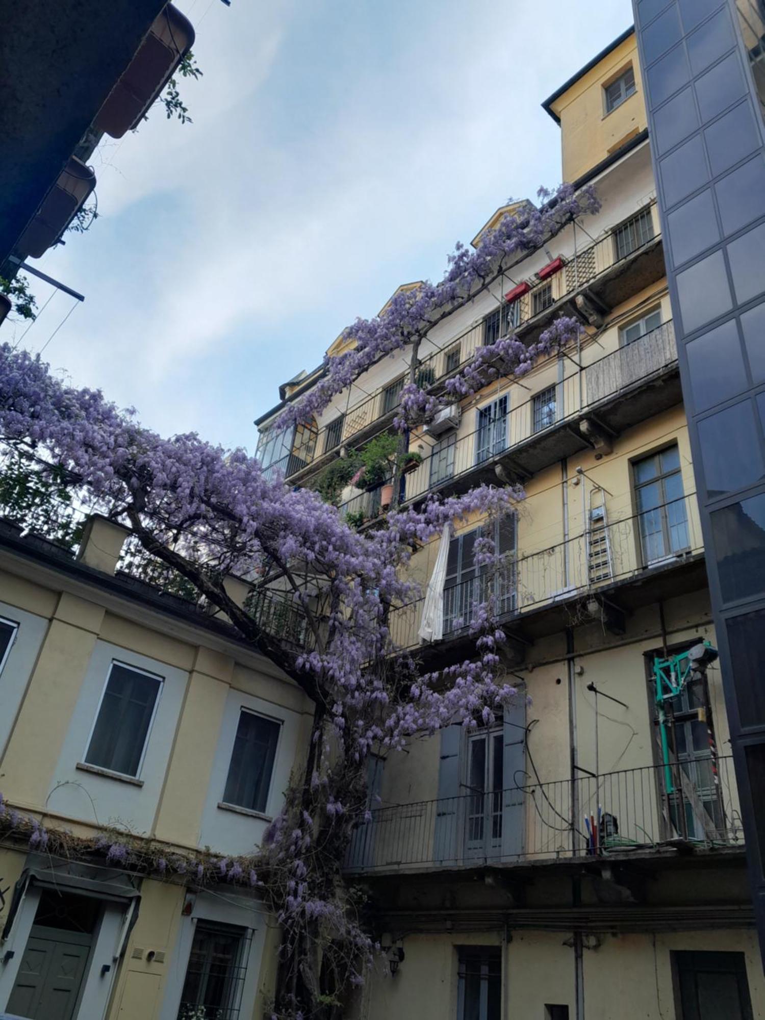 Alloggio Torino Inquadro 外观 照片